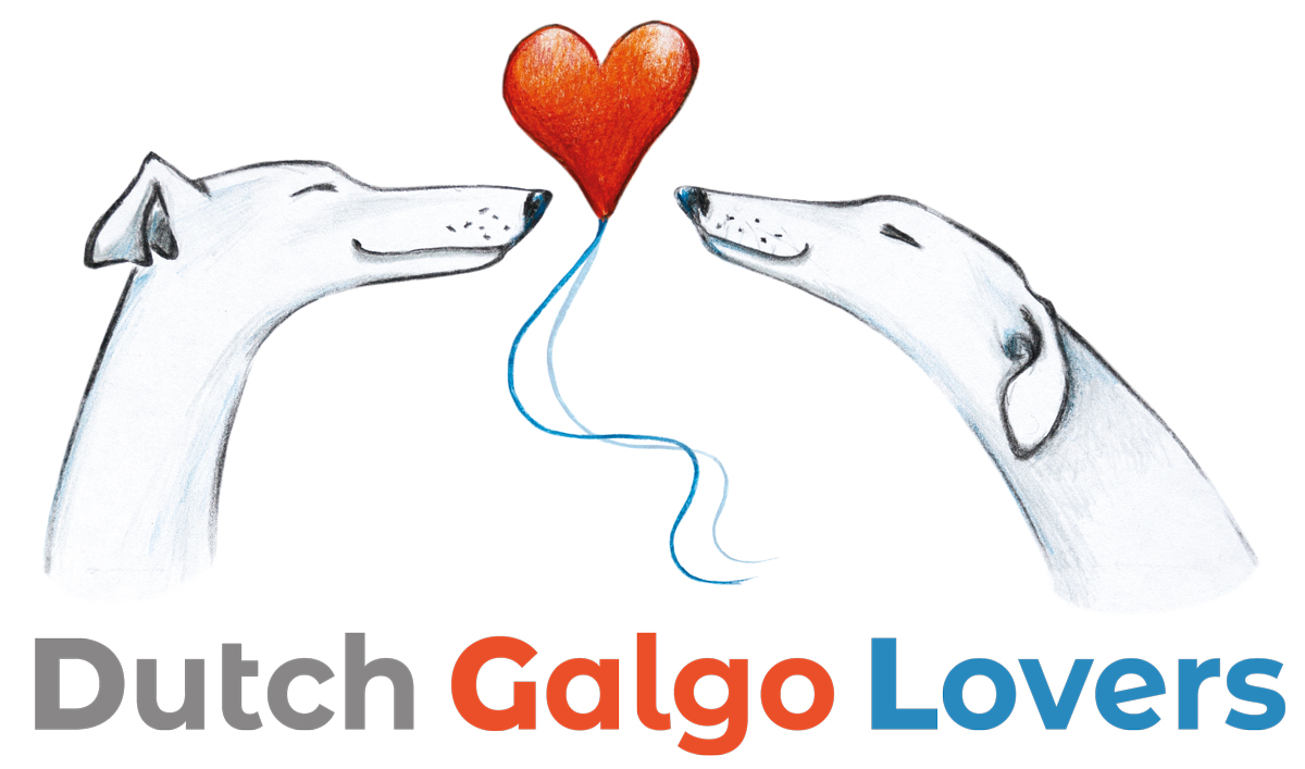 Beleidsplan-DGL - Dutch Galgo Lovers
